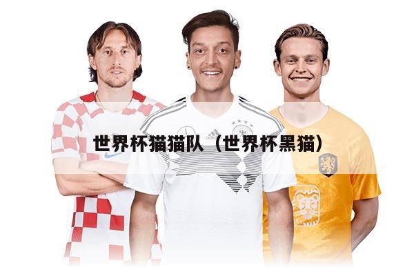 世界杯貓貓隊(duì)（世界杯黑貓）