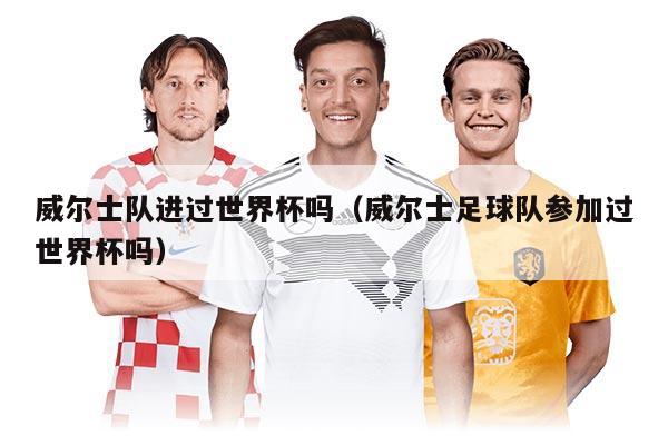 威爾士隊(duì)進(jìn)過(guò)世界杯嗎(威爾士足球隊(duì)參加過(guò)世界杯嗎)