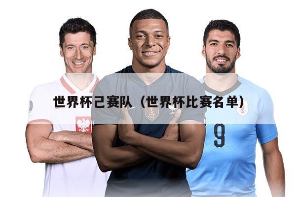 世界杯己賽隊(世界杯比賽名單)