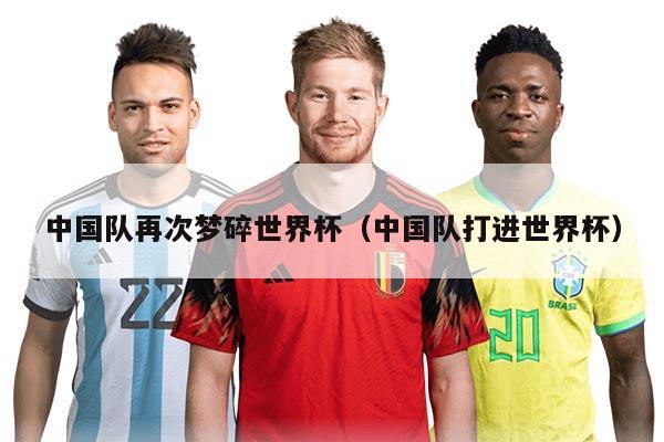 中國隊(duì)再次夢碎世界杯（中國隊(duì)打進(jìn)世界杯）