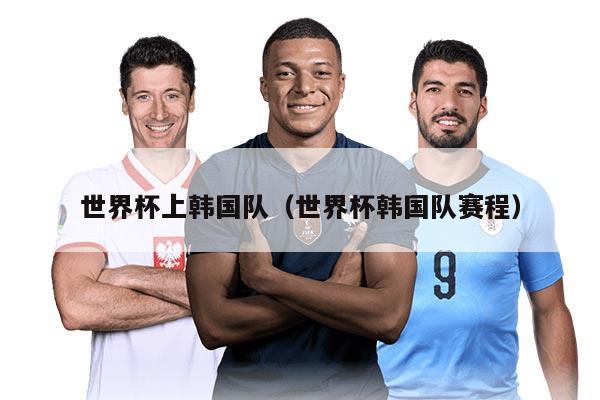 世界杯上韓國隊(世界杯韓國隊賽程)