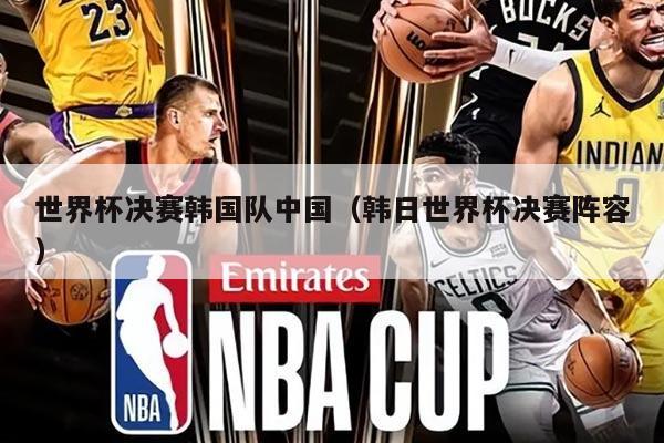 世界杯決賽韓國隊中國(韓日世界杯決賽陣容)