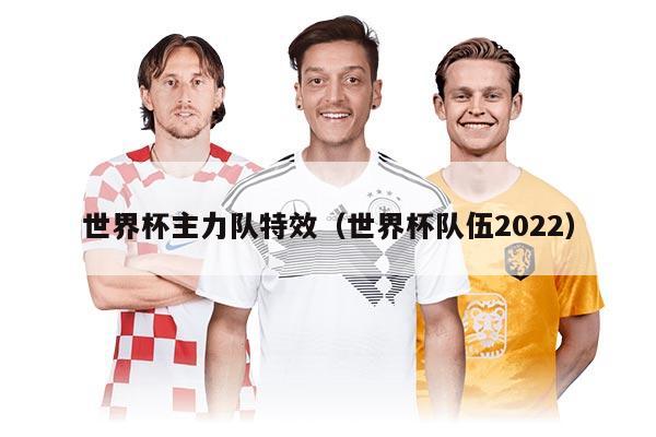 世界杯主力隊特效（世界杯隊伍2022）