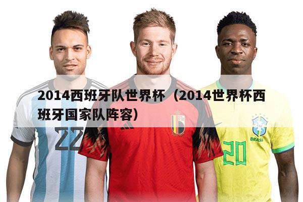 2014西班牙隊(duì)世界杯(2014世界杯西班牙國(guó)家隊(duì)陣容)