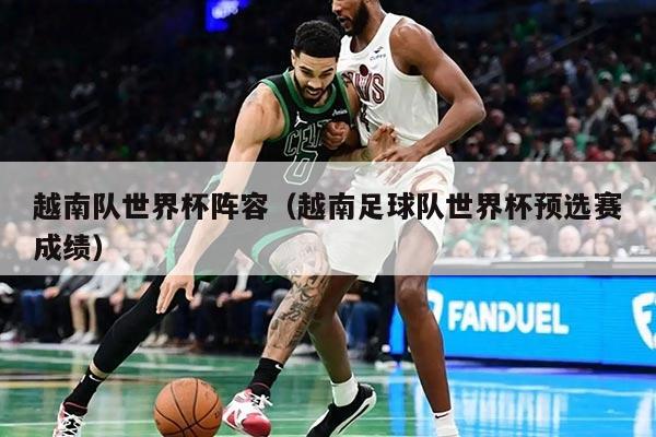 越南隊(duì)世界杯陣容(越南足球隊(duì)世界杯預(yù)選賽成績)