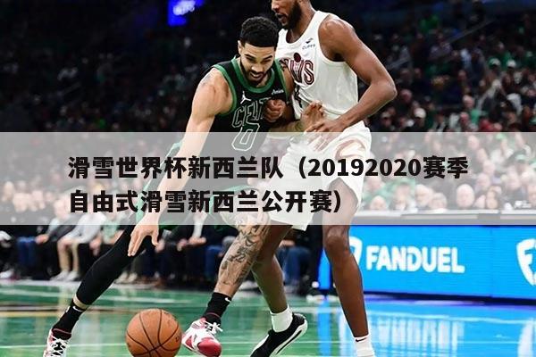 滑雪世界杯新西蘭隊(duì)（20192020賽季自由式滑雪新西蘭公開(kāi)賽）