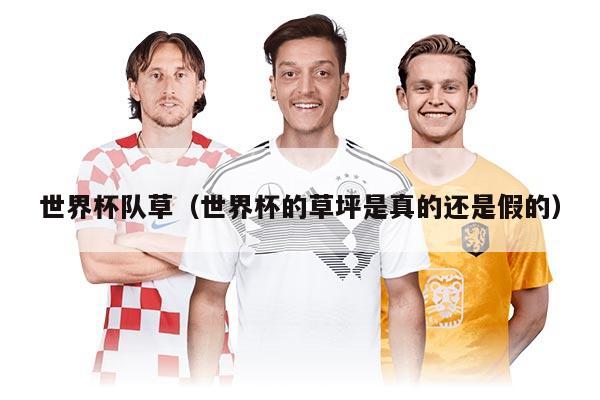 世界杯隊草（世界杯的草坪是真的還是假的）