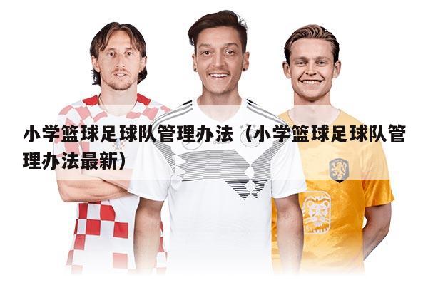 小學籃球足球隊管理辦法(小學籃球足球隊管理辦法最新)