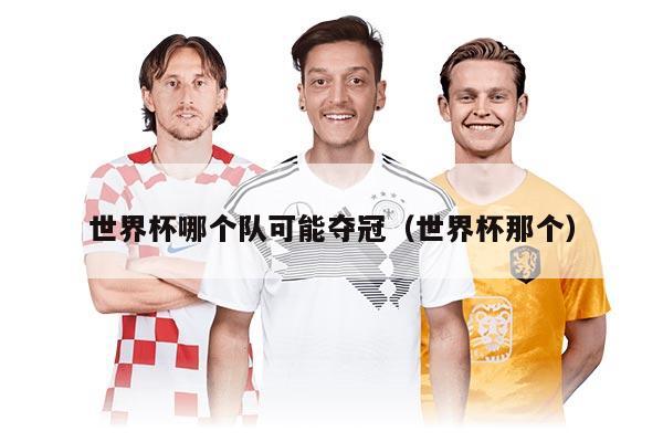 世界杯哪個(gè)隊(duì)可能奪冠(世界杯那個(gè))