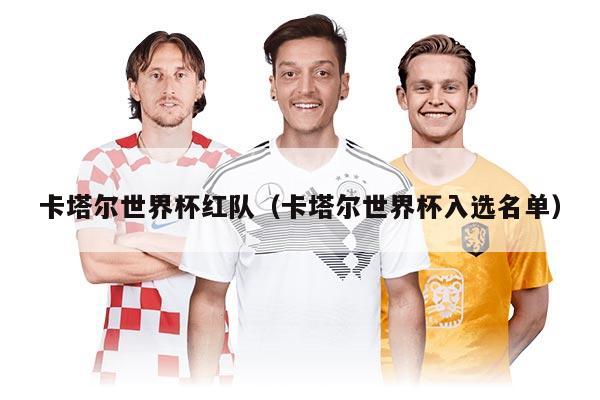 卡塔爾世界杯紅隊（卡塔爾世界杯入選名單）