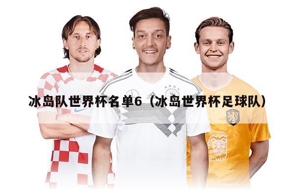 冰島隊(duì)世界杯名單6(冰島世界杯足球隊(duì))