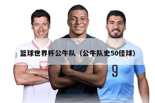 籃球世界杯公牛隊(duì)（公牛隊(duì)史50佳球）