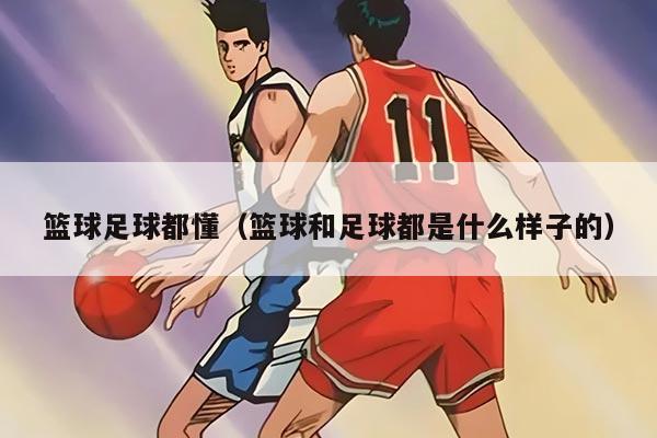 籃球足球都懂(籃球和足球都是什么樣子的)