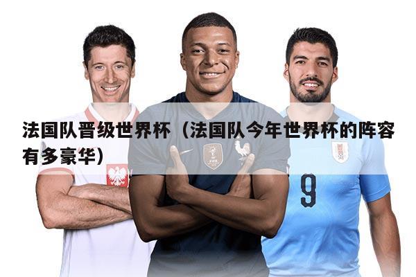 法國(guó)隊(duì)晉級(jí)世界杯（法國(guó)隊(duì)今年世界杯的陣容有多豪華）