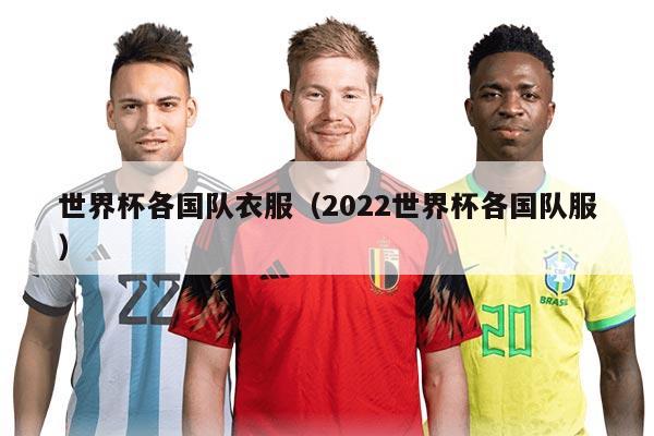 世界杯各國(guó)隊(duì)衣服（2022世界杯各國(guó)隊(duì)服）