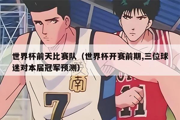 世界杯前天比賽隊(duì)（世界杯開賽前期,三位球迷對(duì)本屆冠軍預(yù)測(cè)）
