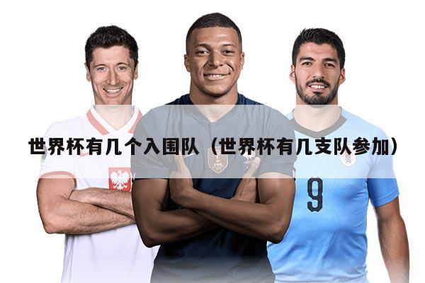 世界杯有幾個(gè)入圍隊(duì)（世界杯有幾支隊(duì)參加）