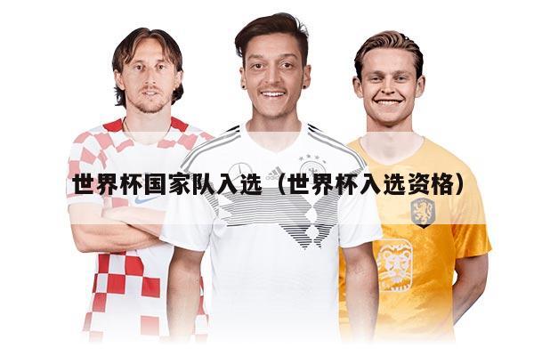 世界杯國(guó)家隊(duì)入選（世界杯入選資格）
