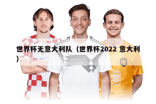 世界杯無意大利隊（世界杯2022 意大利）