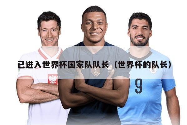 已進(jìn)入世界杯國家隊隊長（世界杯的隊長）