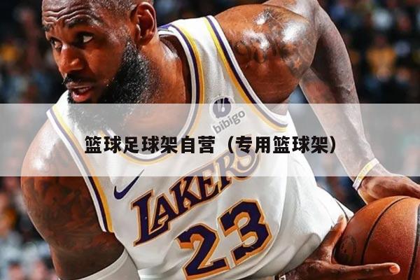 籃球足球架自營（專用籃球架）