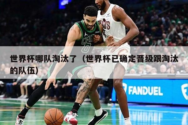 世界杯哪隊淘汰了（世界杯已確定晉級跟淘汰的隊伍）