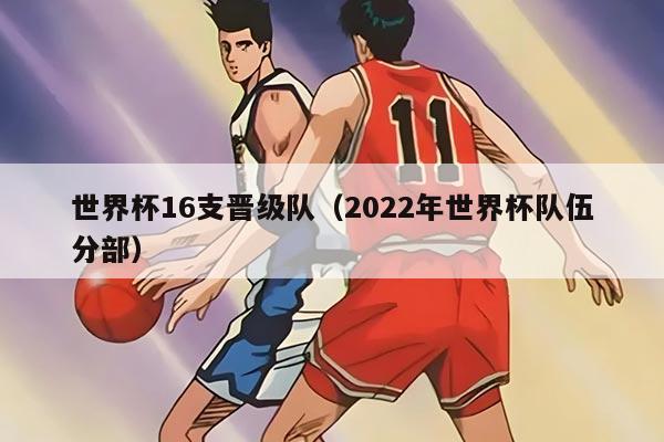 世界杯16支晉級隊（2022年世界杯隊伍分部）
