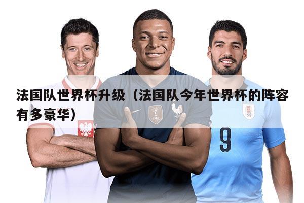 法國(guó)隊(duì)世界杯升級(jí)(法國(guó)隊(duì)今年世界杯的陣容有多豪華)