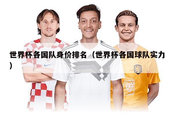 世界杯各國隊(duì)身價(jià)排名（世界杯各國球隊(duì)實(shí)力）