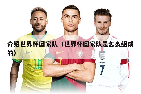 介紹世界杯國家隊(duì)（世界杯國家隊(duì)是怎么組成的）