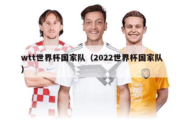 wtt世界杯國(guó)家隊(duì)（2022世界杯國(guó)家隊(duì)）
