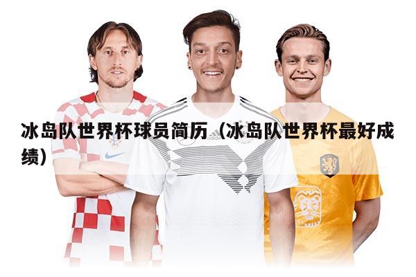 冰島隊(duì)世界杯球員簡(jiǎn)歷（冰島隊(duì)世界杯最好成績(jī)）